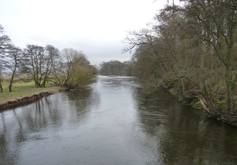 Looking downstream from Kitty Swansons bridge