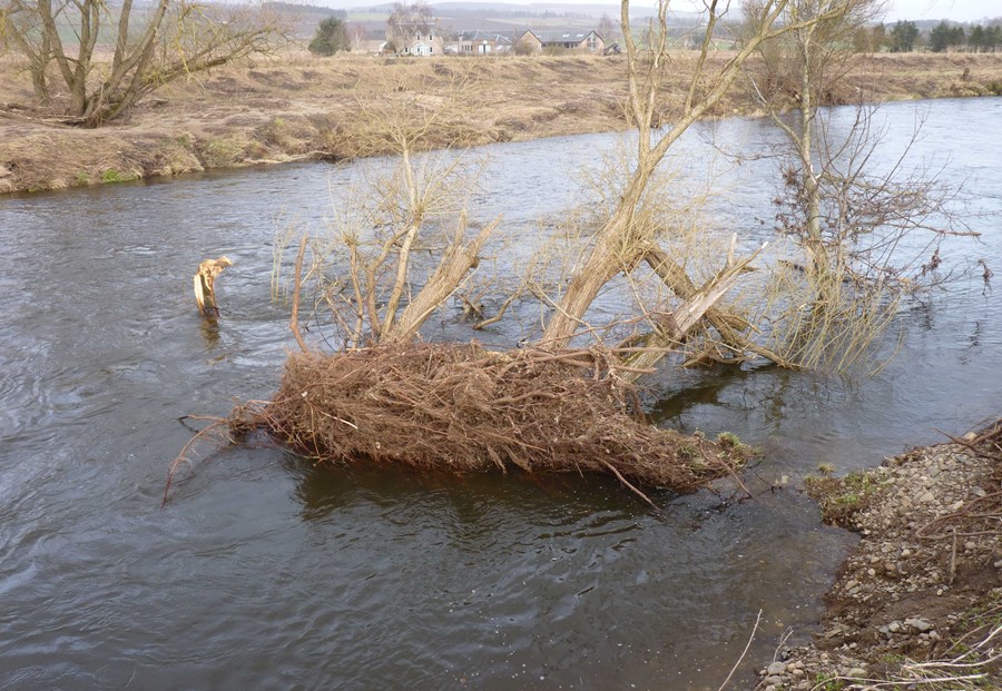 Storm debris