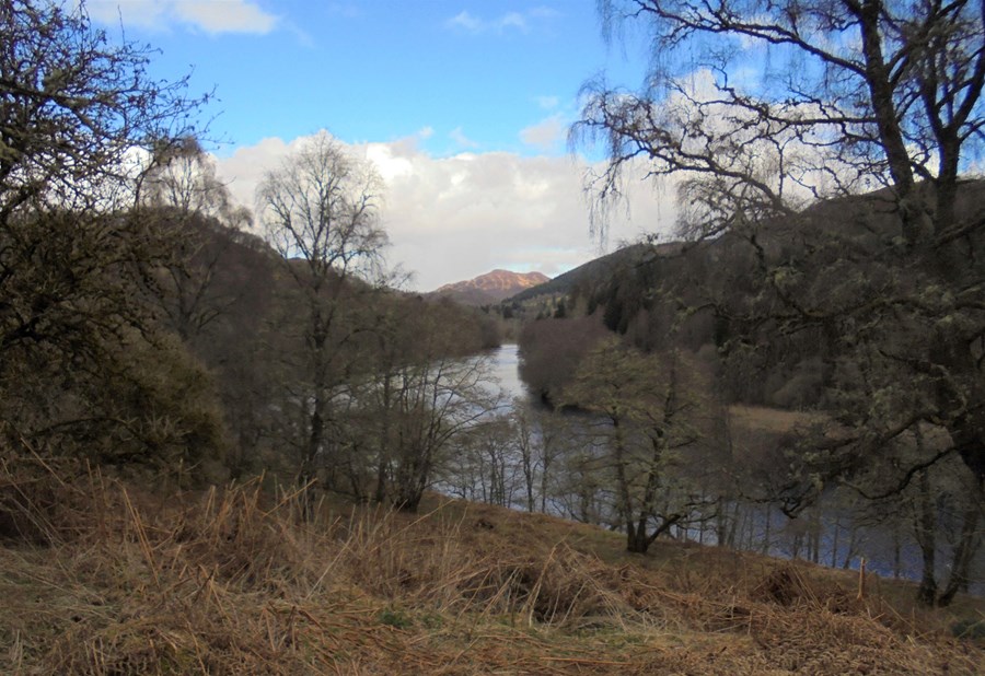 View looking north to Ben Vrackie