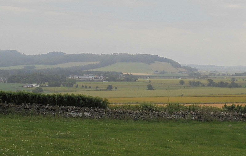 View south from the hill