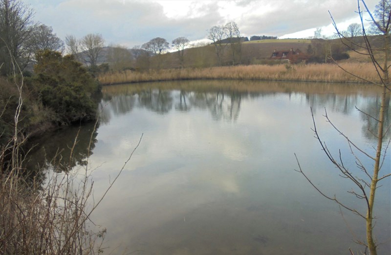Pond near Fincraigs