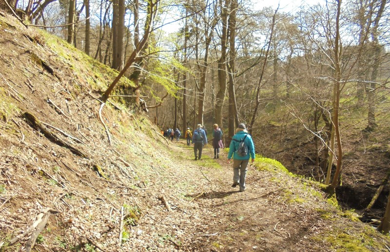 Through the glen from Meikle Fieldie
