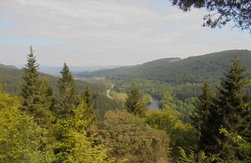 View from Pine Cone point