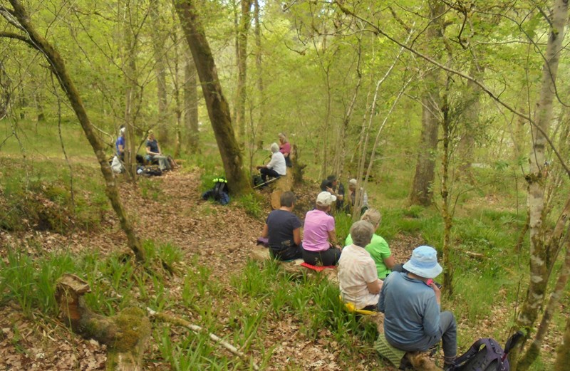 Lunch in the trees