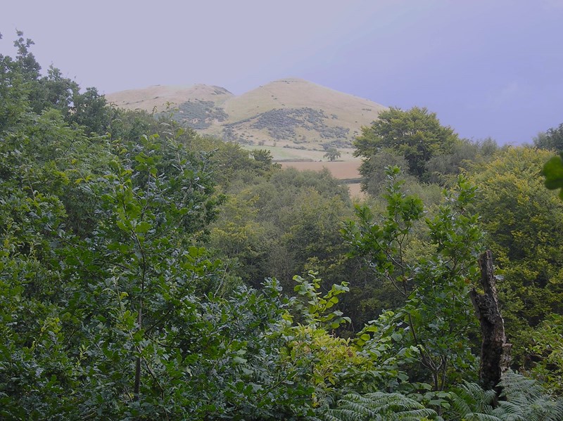 View of Largo Law