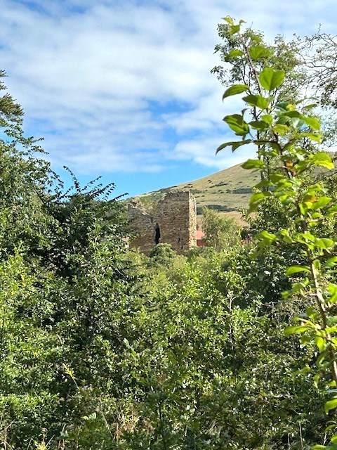 Pitcruvie Castle