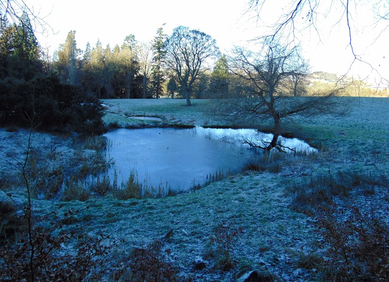 Frozen pond