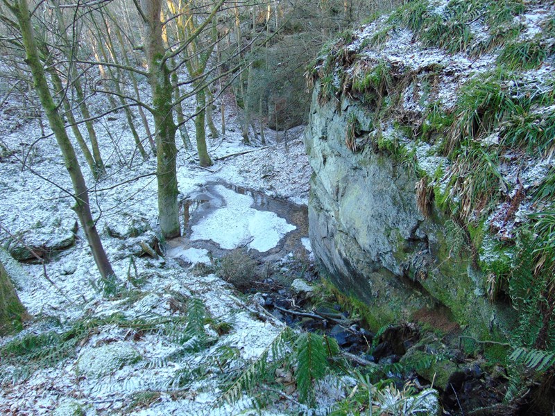 Remains of a quarry