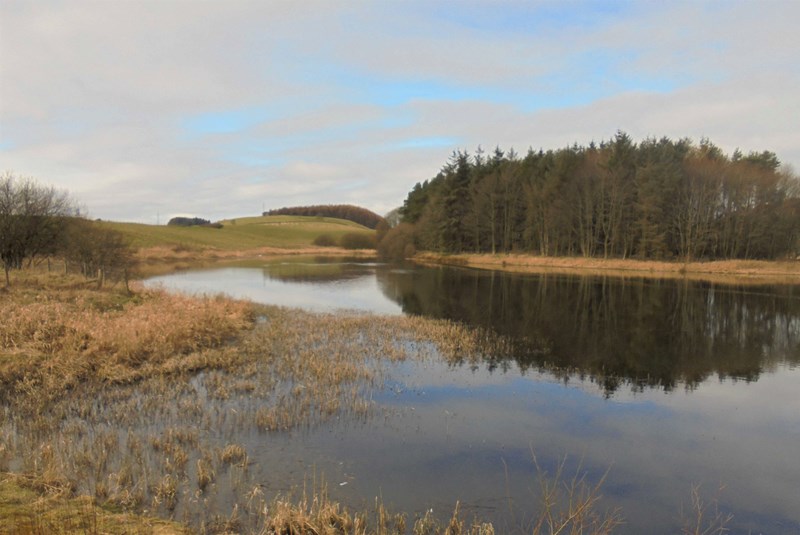 Reflections on Clatto Reservoir 1