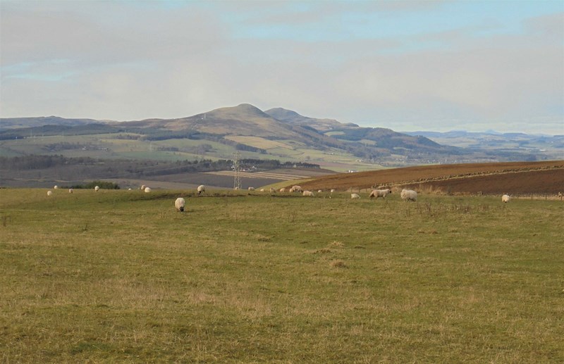 View to the Lomonds