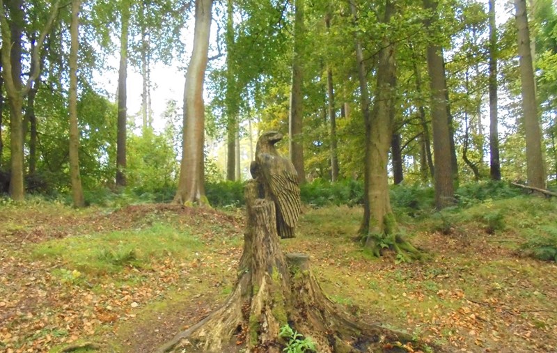 Sculpture in Kinnoull Woods