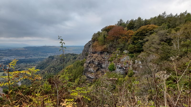 The slopes of Kinnoull Hill