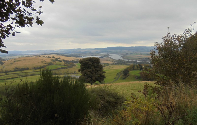 View east from Deuchny Woods