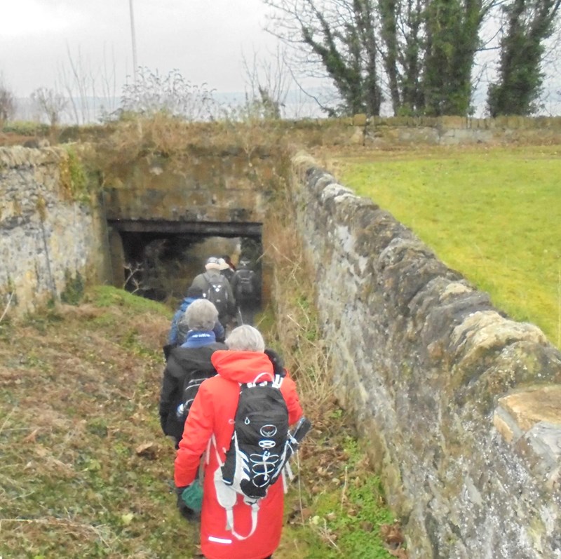 Down the run towards the shore