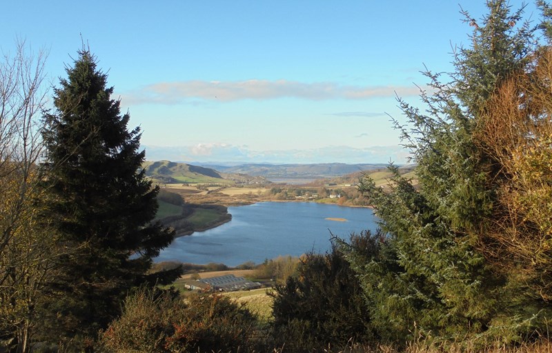 Lindores Loch through the trees