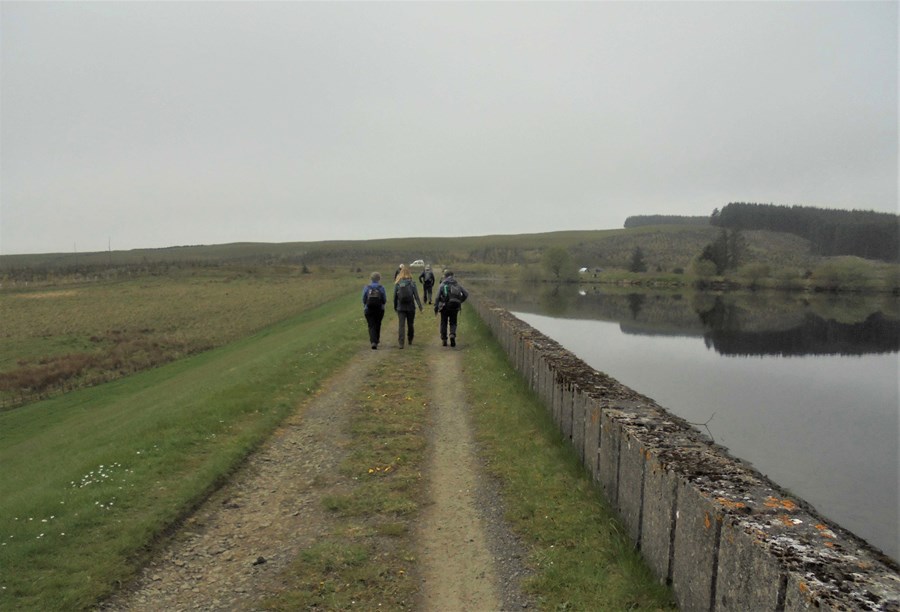 Along the Harperleas path