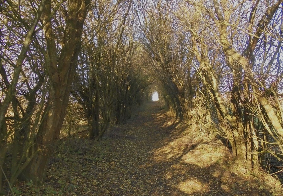 Light at the end of the tunnel