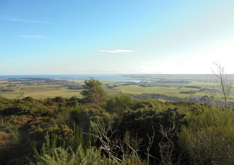 View of the Eden Estuary