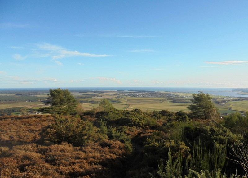 View towards Leuchars and Tentsmuir