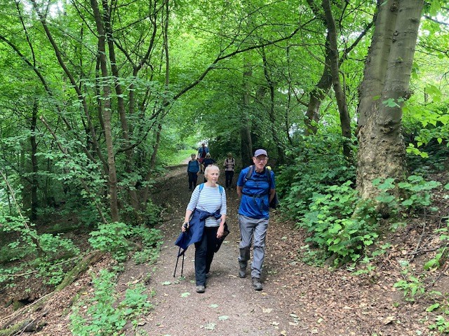 In Letham Glen