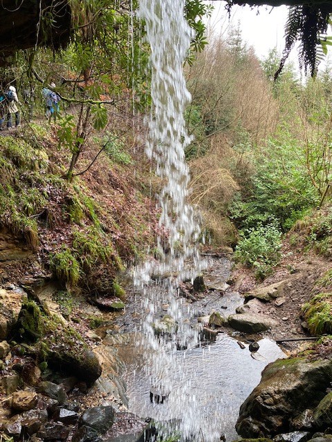 Another view from the waterfall