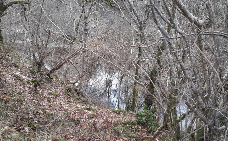 River Almond from above