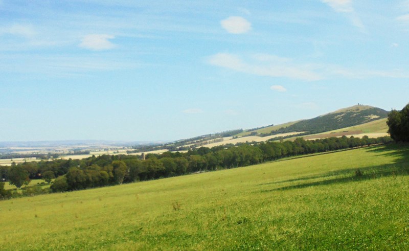 View north towards Strathmore
