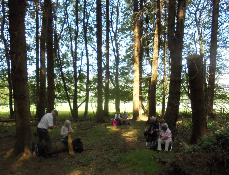 Lunch stop in the shade