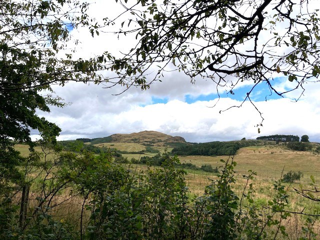 Looking back at the Law with sunshine