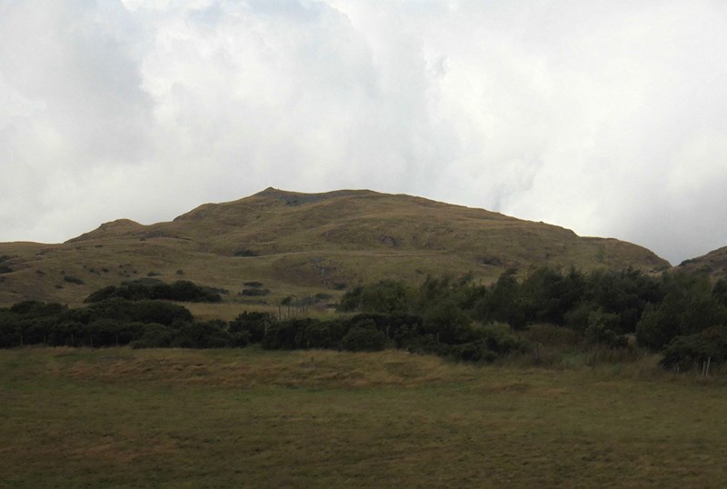 Looking back at the Law