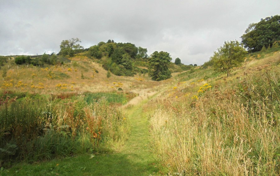 Path from Carphin