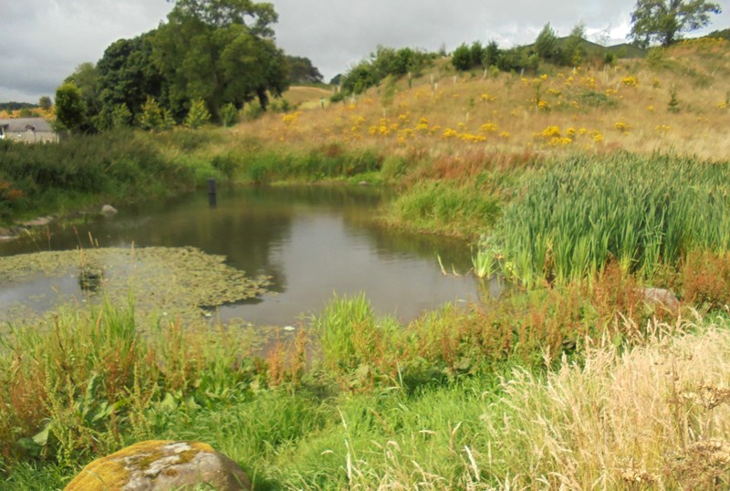 Pond near Carphin