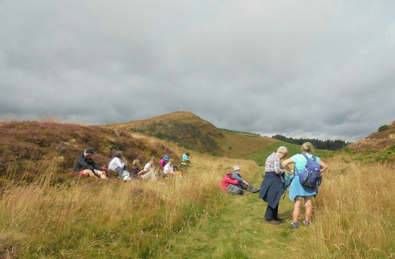 Short drinks stop with the Law in the background