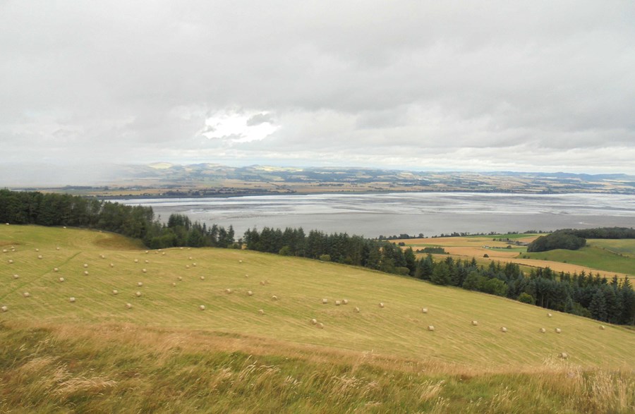 The Tay