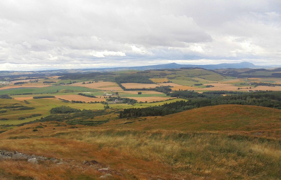 View south