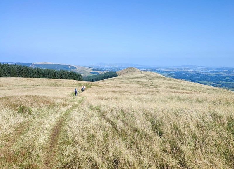 Seamab hill in the distance