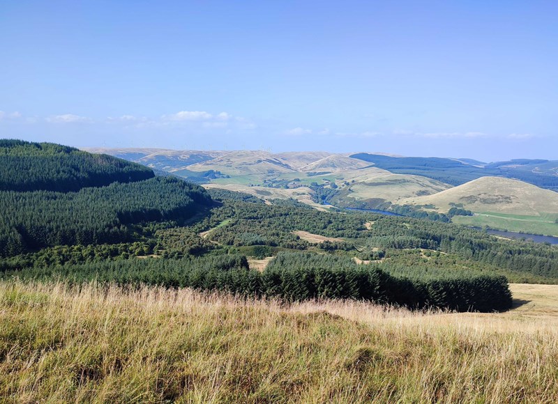 View north from Seamab