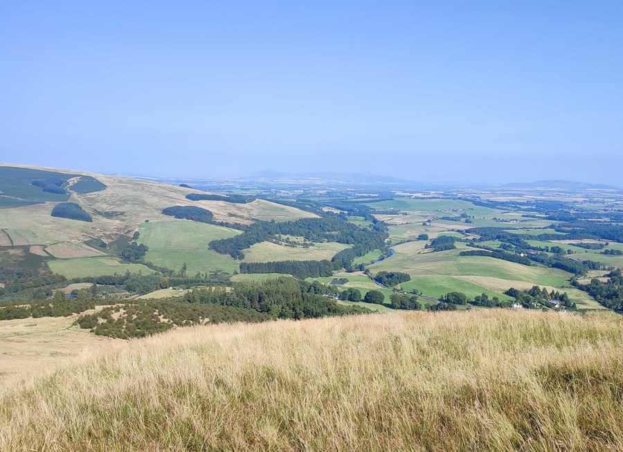 View to the Lomonds from Seamab