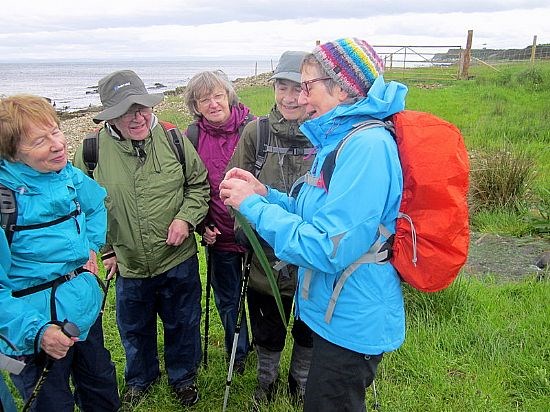 Waht was this about?