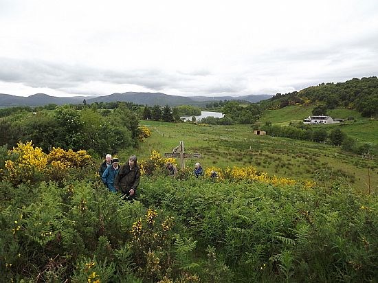 Taster Walk Path Finding