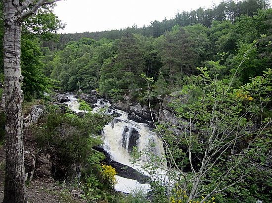 Rogie Falls