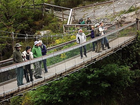 Rogie Falls & Contin Forest