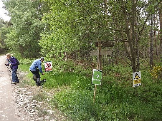 Contin Forest Walk