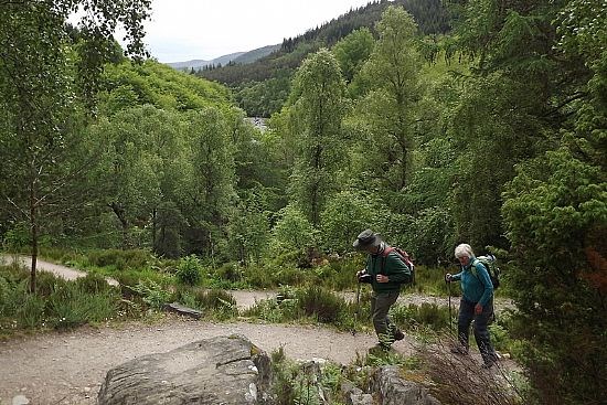 Rogie Falls