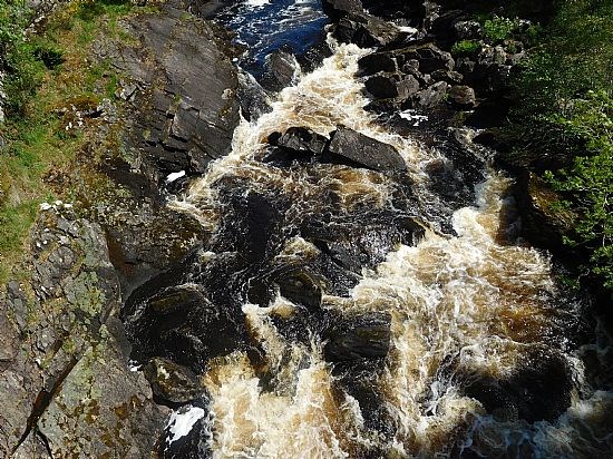Rogie Falls Walk