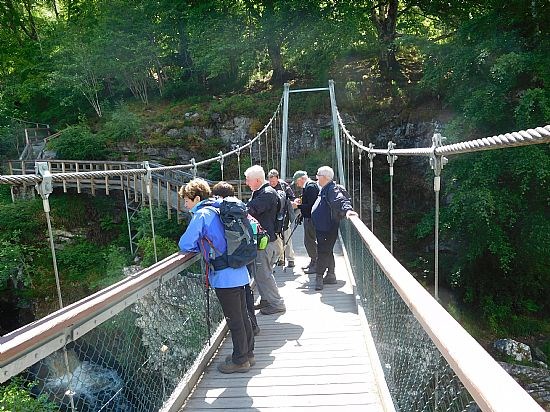 Rogie Falls Walk