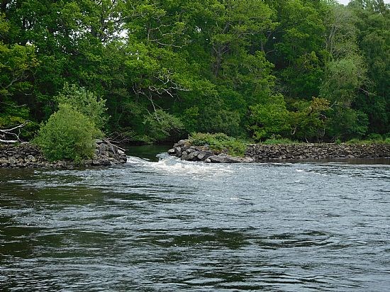 Rogie Falls Walk