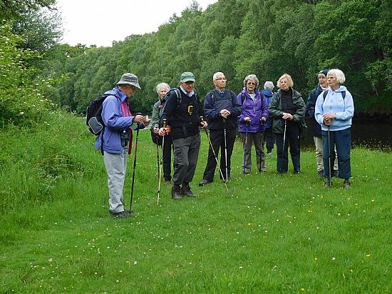 Rogie Falls Walk Group