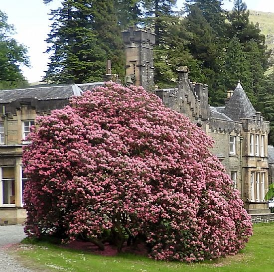More Benmore