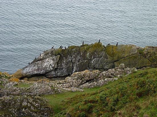 Thursday: Queue for lunch
